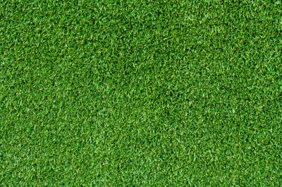 Sod Replacement
