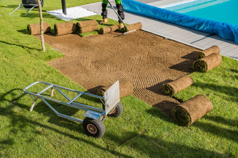 Sod Replacement