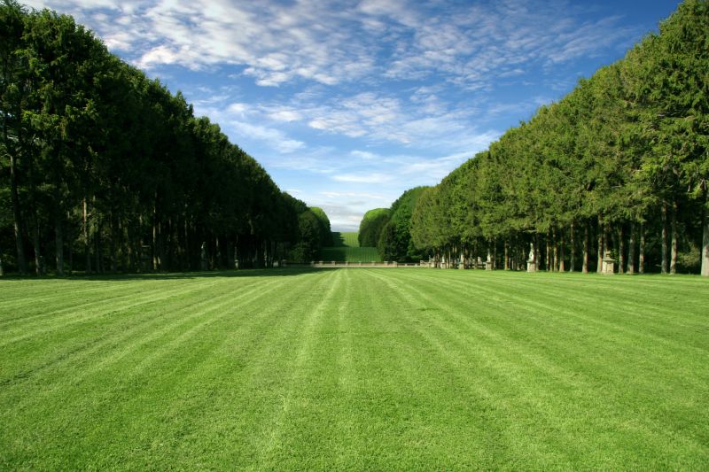 Commercial Sod Installation