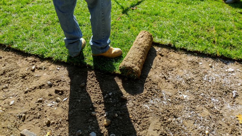 Inspecting the Installed Sod