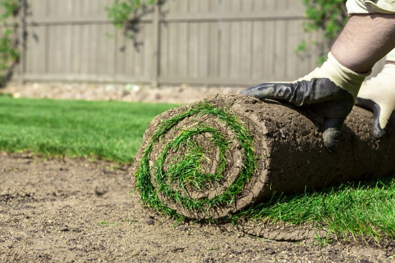 Sod Replacement