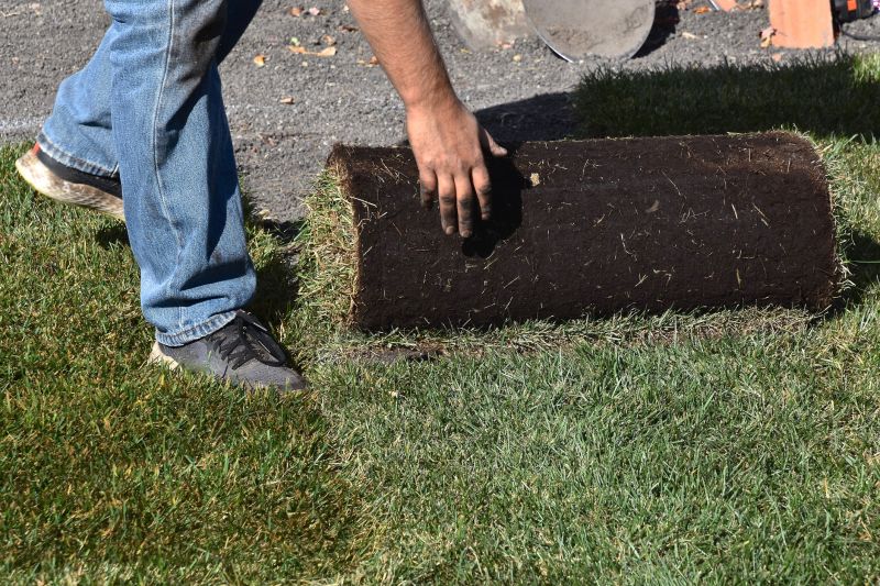 Sod Replacement