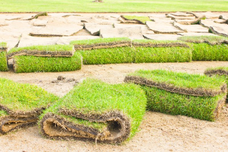 Healthy Turf Transition