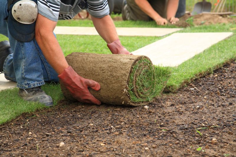 Sod Laying Process