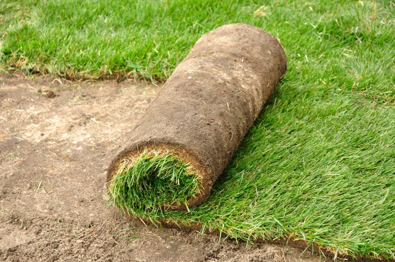 Monitoring Sod Health