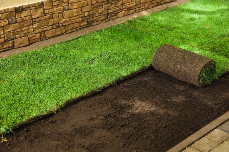 Lawn Repair and Rejuvenation