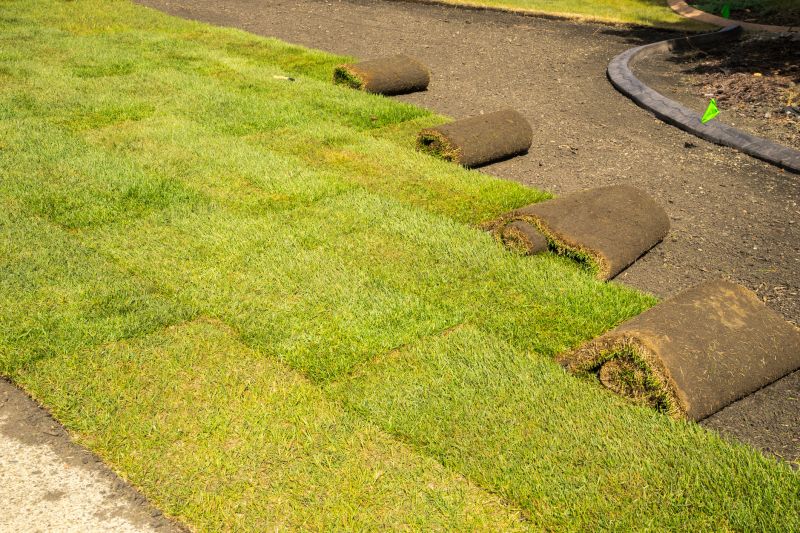 Long-Term Lawn Health
