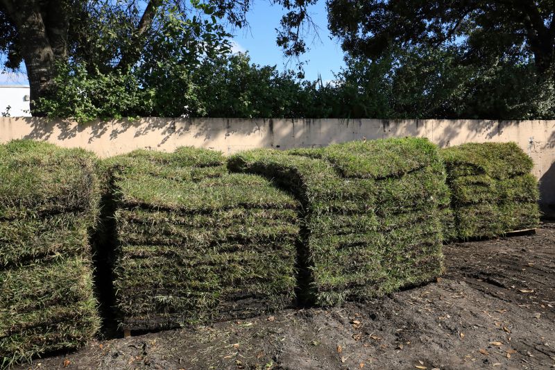 Sod Replacement