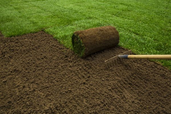Sod Repair
