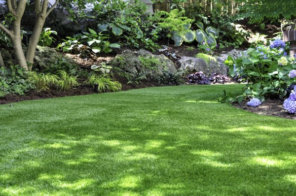 Sod Topdressing